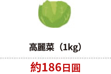 高麗菜(1kg)